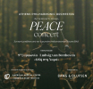 Athens Philharmonic International Peace Concert 2026: Η Κύπρος αναδεικνύεται σε παγκόσμια φωνή ειρήνης  από το μαγευτικό Δάσος Πλατρών